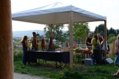 130907_south_folk_festival2013209